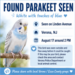 Found/Stray Unknown Bird last seen linden ave verona nj, Verona, NJ 07044
