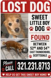 Found/Stray Male Dog last seen 52nd and e thunderbird rd, Phoenix, AZ 85254