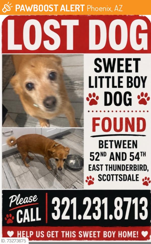 Found/Stray Male Dog last seen 52nd and e thunderbird rd, Phoenix, AZ 85254