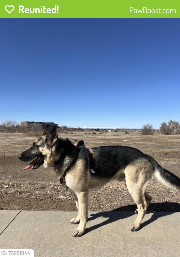 Reunited Male Dog last seen 6th ave and sable blvd, Aurora, CO 80011