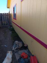 Lost Male Dog last seen Lobo Beachwood, City of Atwater, CA 95301