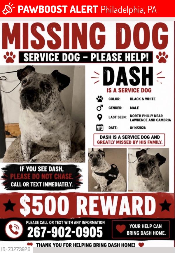 Lost Male Dog last seen Lawrence an cambria, Philadelphia, PA 19140