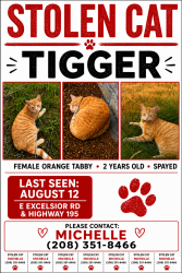 Lost Female Cat last seen E Excelsior Rd and Highway 195, Valleyford, WA 99036