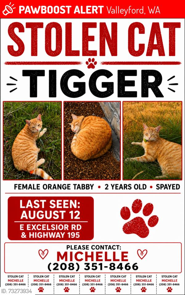 Lost Female Cat last seen E Excelsior Rd and Highway 195, Valleyford, WA 99036