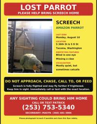 Lost Male Bird last seen S 36th St and S D St, Tacoma, WA 98418