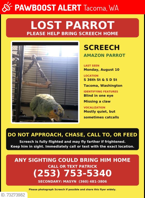Lost Male Bird last seen S 36th St and S D St, Tacoma, WA 98418