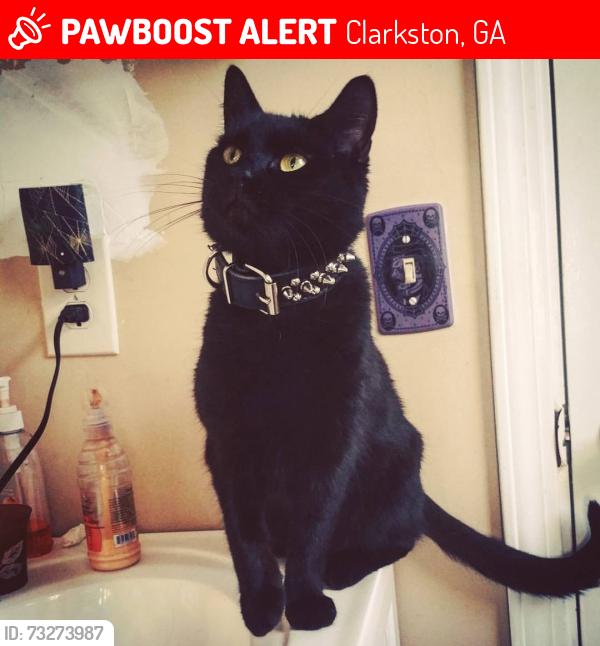 Lost Male Cat last seen The Reserve at Twin Oaks apmts, Clarkston, GA 30021