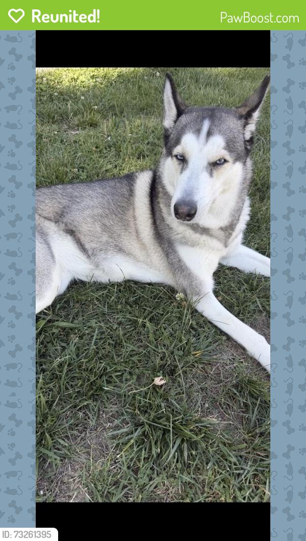 Reunited Female Dog last seen Greenhill Ave , discovery park laurel, Laurel, MD 20707
