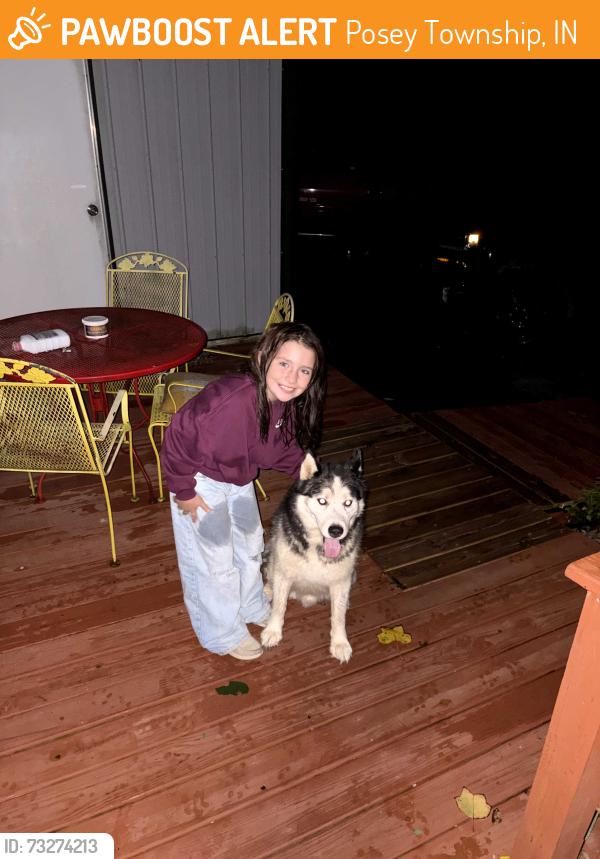 Found/Stray Unknown Dog last seen Lottics corner, Posey Township, IN 47117
