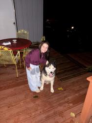 Found/Stray Unknown Dog last seen Lottics corner, Posey Township, IN 47117