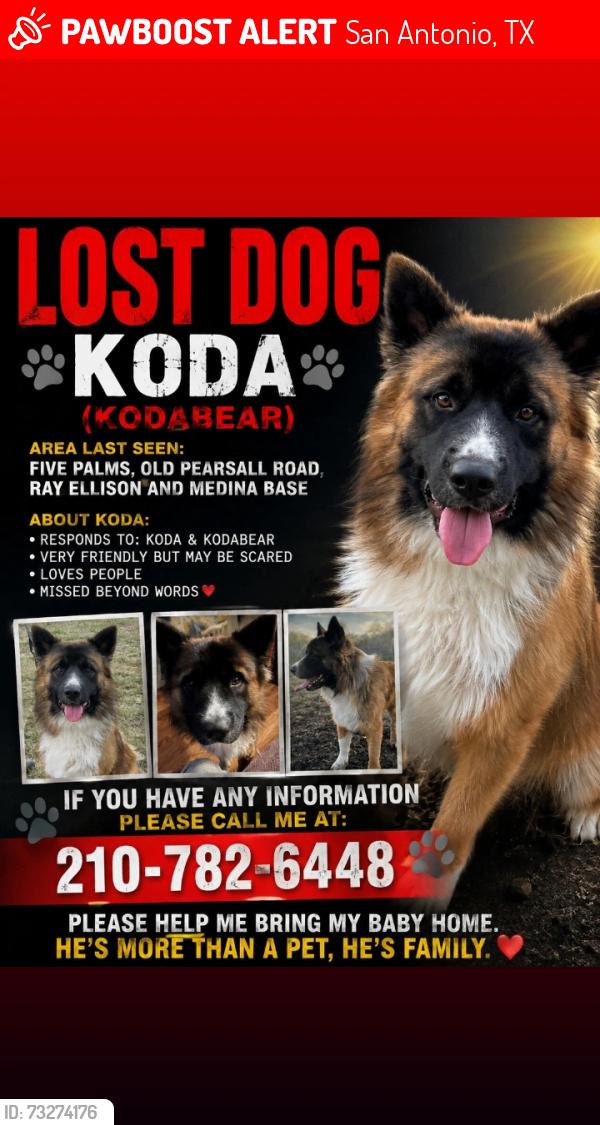 Lost Male Dog last seen Old Pearsall rd, Five Palms, Ray Ellison and Medina Base., San Antonio, TX 78242