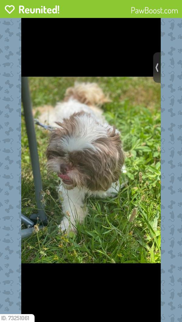 Reunited Female Dog last seen At home near calvin, Huntingdon, PA 16652