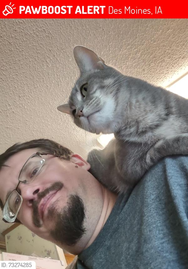 Lost Female Cat last seen SE 5th and Cummins Rd., Des Moines, IA 50315