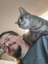 Lost Female Cat last seen SE 5th and Cummins Rd., Des Moines, IA 50315