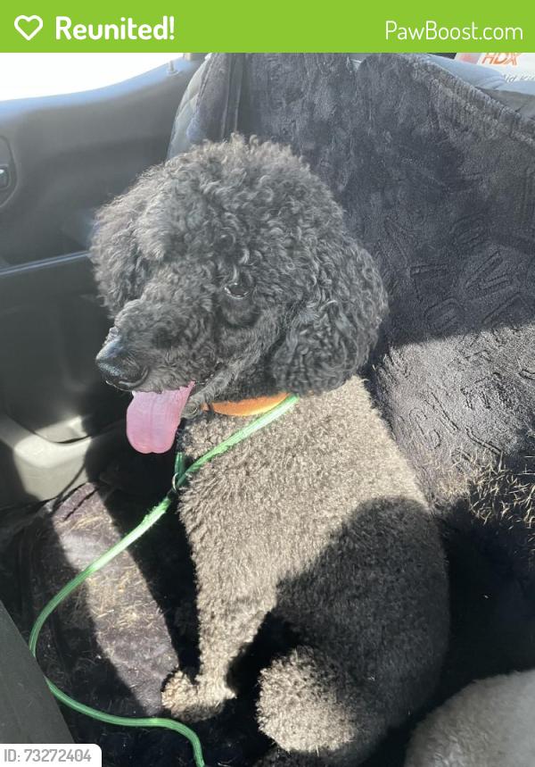 Reunited Male Dog last seen Jacksonville Beach Animal Control, Jacksonville Beach, FL 32250