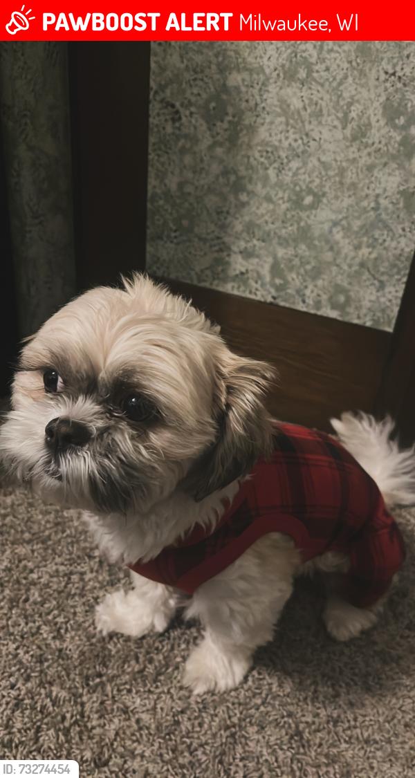 Lost Male Dog last seen Mill Road, Milwaukee, WI 53224
