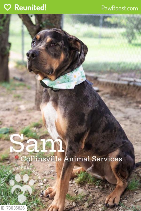 Reunited Male Dog last seen Near Marsha PI Warren MI 48089, Warren, MI 48089