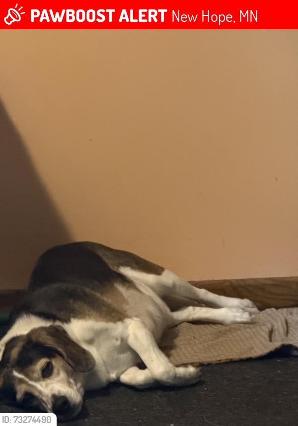 Lost Male Dog last seen New hope, New Hope, MN 55428