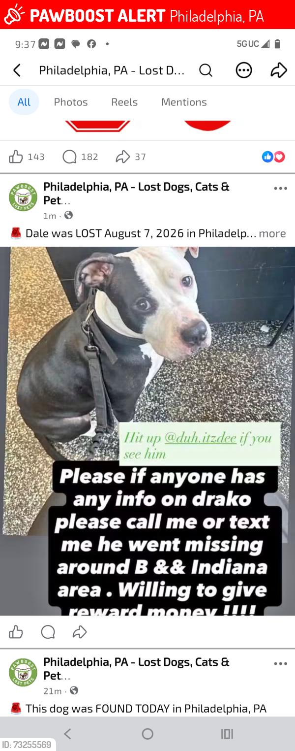 Lost Male Dog last seen C and Allegheny, Philadelphia, PA 19132