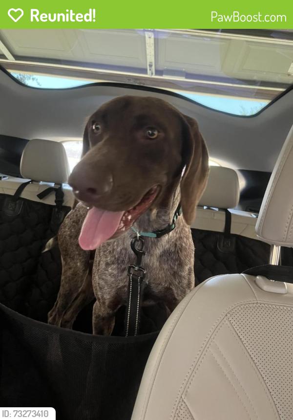 Reunited Male Dog last seen Lake in Hyde Park, Houston, TX 77429