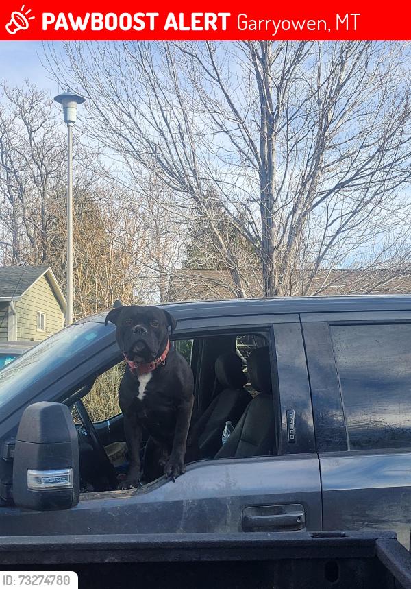 Lost Male Dog last seen FRONTAGE Rd., Garryowen, MT 59031