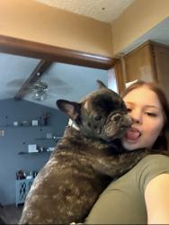 Lost Female Dog last seen Near and 145, Tulsa, OK 74134