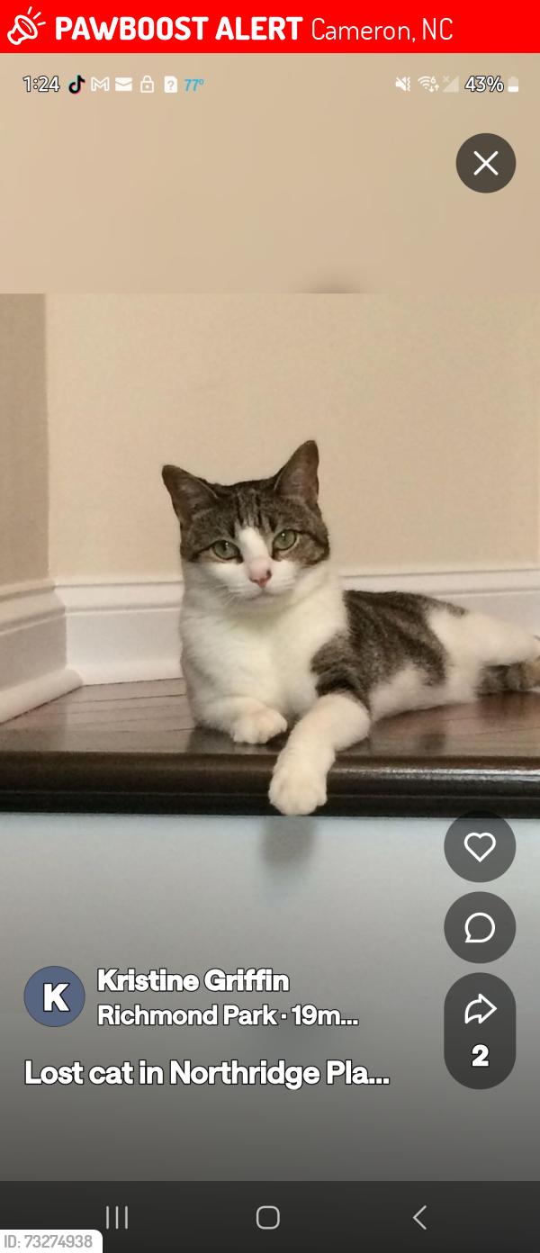 Lost Female Cat last seen Near crutchfield dr, Cameron, NC 28326