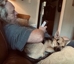 Lost Male Dog last seen Highway 35, Bailey's Prairie, TX 77515