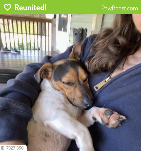 Reunited Male Dog last seen NE 99th Lane, Anthony, FL 32617