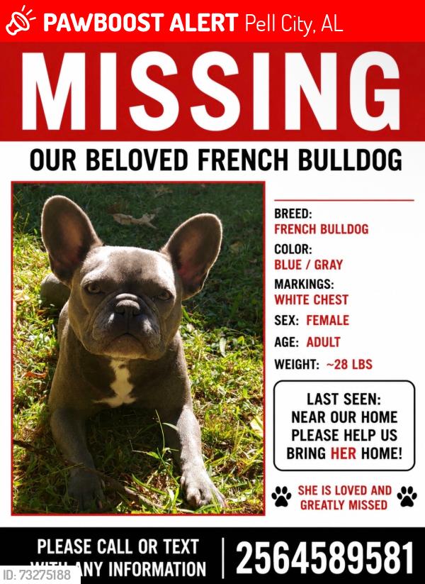 Lost Female Dog last seen near twin oaks/mays bends area, Pell City, AL 35128