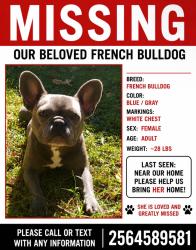 Lost Female Dog last seen near twin oaks/mays bends area, Pell City, AL 35128