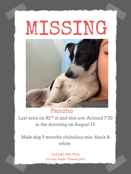 Lost Male Dog last seen Near E 82nd st, Lubbock, TX 79404