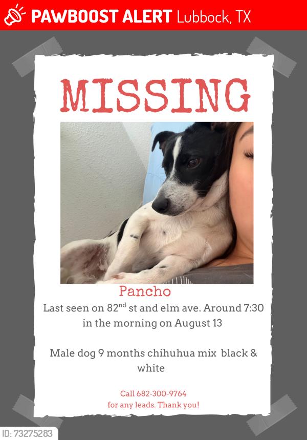 Lost Male Dog last seen Near E 82nd st, Lubbock, TX 79404