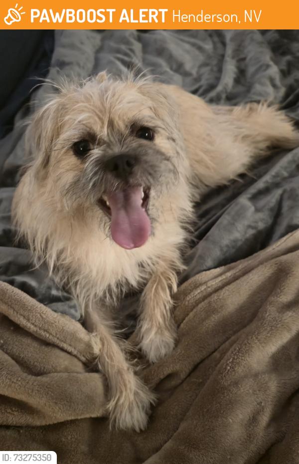 Found/Stray Female Dog last seen Silver bowl park, Henderson, NV 89011