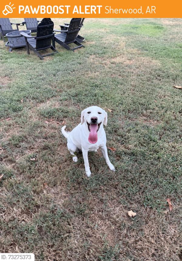 Found/Stray Female Dog last seen Feldspar, Sherwood, AR 72120