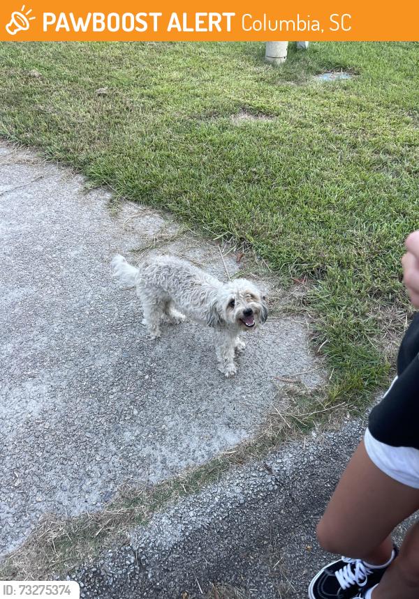 Found/Stray Male Dog last seen Ambling circle, Columbia, SC 29210