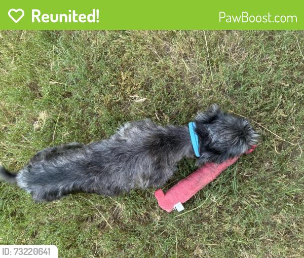 Reunited Male Dog last seen Brenwood Park, Brenwood Park, TX 77449