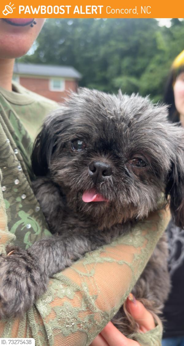 Found/Stray Female Dog last seen Walter dr nw, Concord, NC 28027