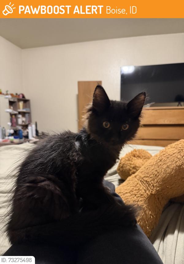 Found/Stray Male Cat last seen W Canterbury dr & W woodlood dr, Boise, ID 83704