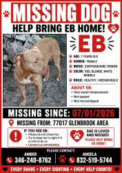 Lost Female Dog last seen Howard Drive/ Old Galveston Road, Houston, TX 77017