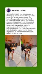 Found/Stray Female Dog last seen Mojave & Rocky Knoll Lane on Pilot Rock Way, Victorville, CA 92394