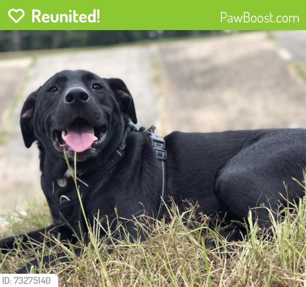 Reunited Male Dog last seen Near, Baytown, TX 77521