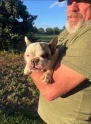 Reunited Female Dog last seen Kalispell park., Aurora, CO 80015