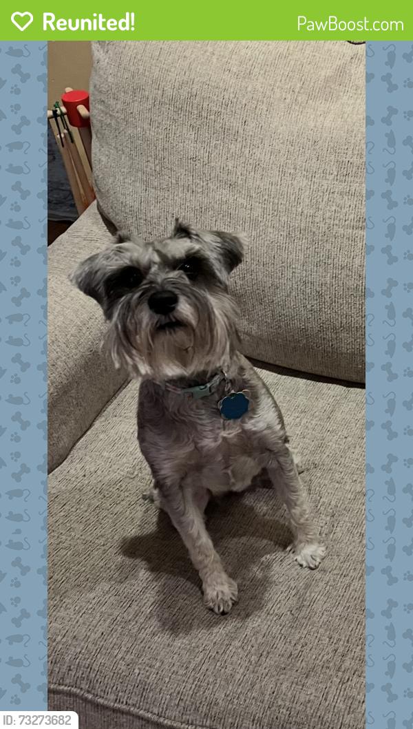 Reunited Female Dog last seen Limoges Dr., Fairfax, VA 22032