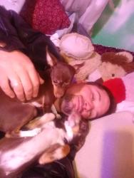 Lost Female Dog last seen 78th and pontiac, Derby, CO 80022