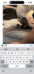Lost Female Dog last seen Near e 64 ave commerce city, co 80022, Commerce City, CO 80022