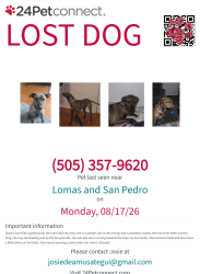 Reunited Female Dog last seen By the fair grounds off San Pedro and Lomas, Albuquerque, NM 87110
