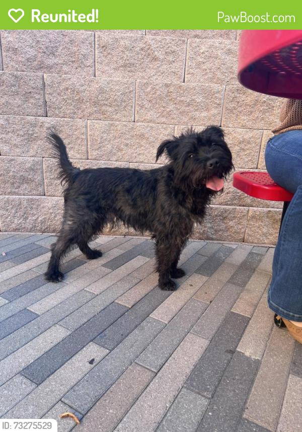 Reunited Male Dog last seen Sable Ave and Chambers, Aurora, CO 80012