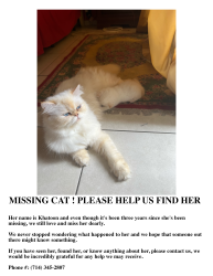 Lost Female Cat last seen Deep harbor drive, Huntington Beach, CA 92648