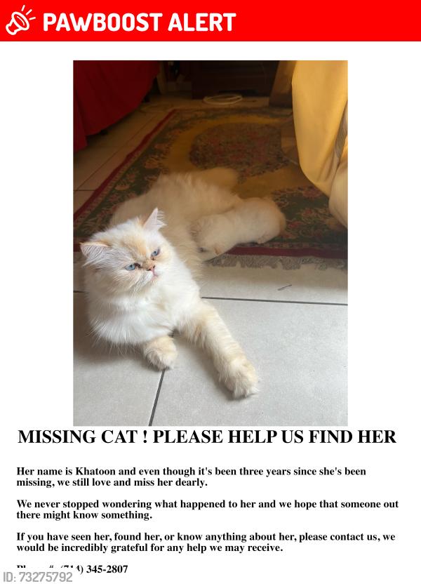 Lost Female Cat last seen Deep harbor drive, Huntington Beach, CA 92648